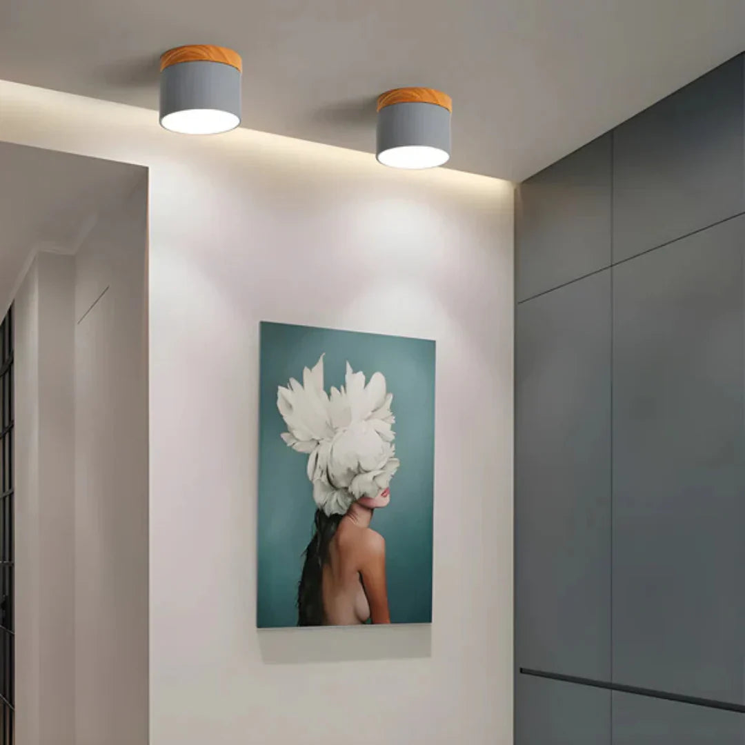 Vesta Vintage LED Ceiling Lamp