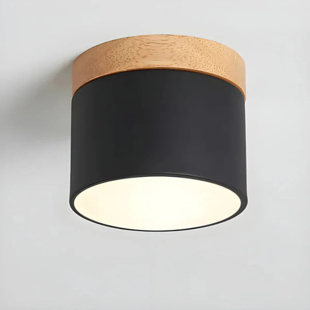 Vesta Vintage LED Ceiling Lamp