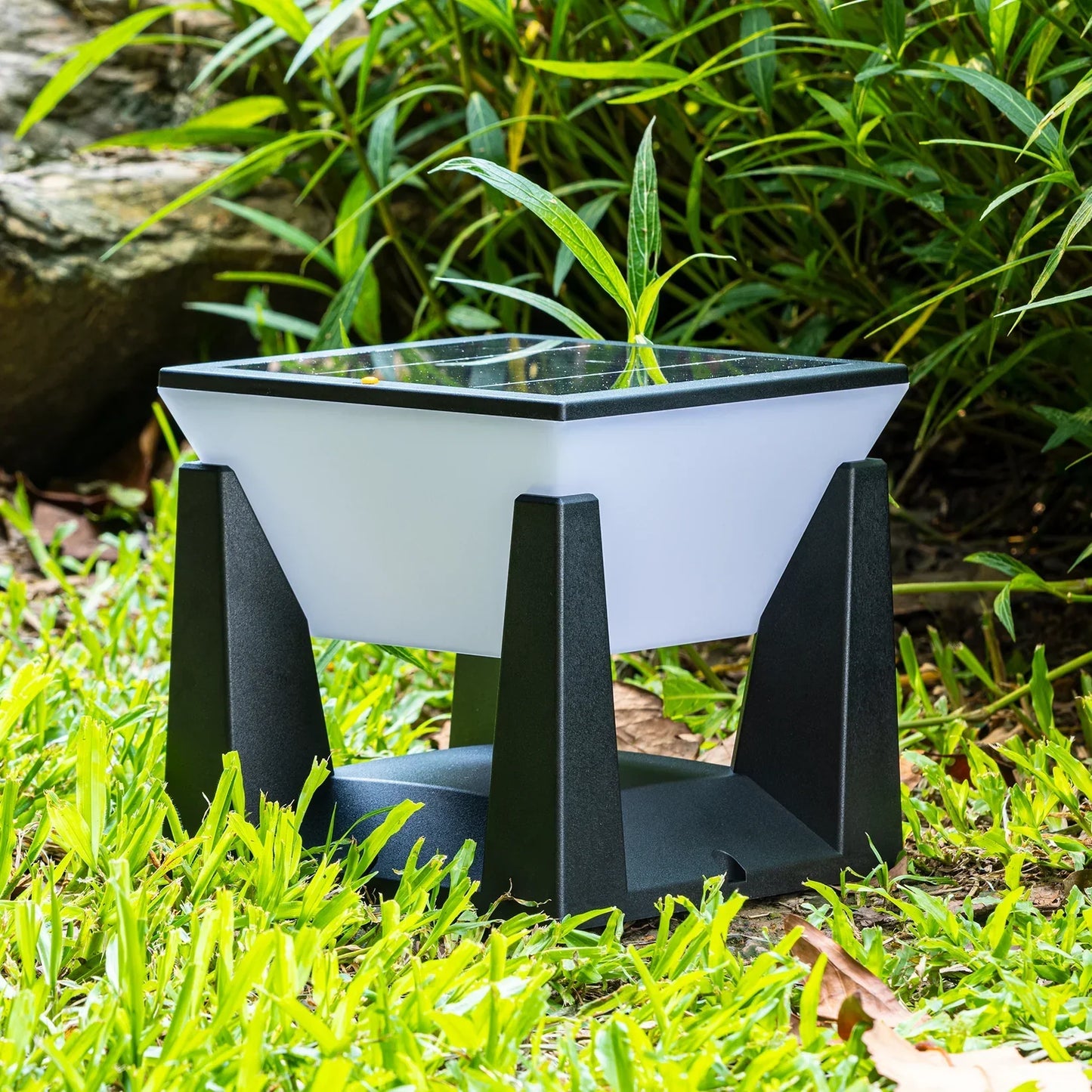 Path Solar Outdoor Light