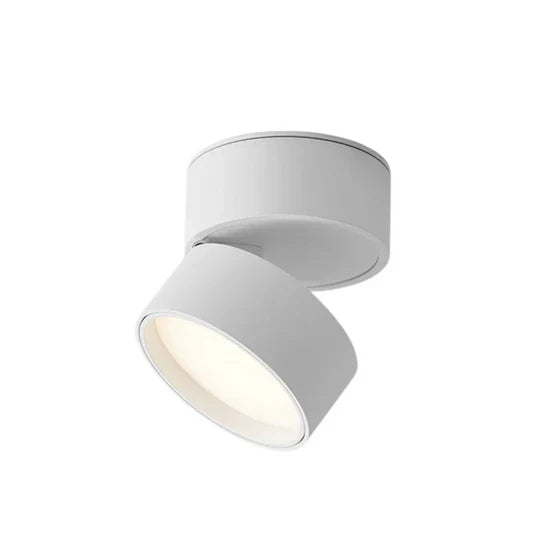 Somos Adjustable LED Ceiling Lamp