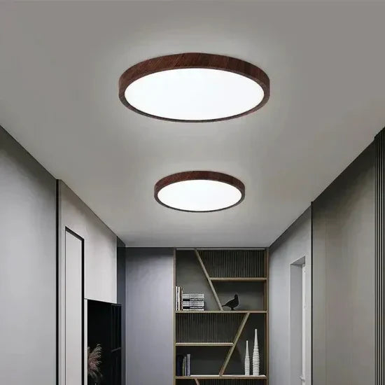 Isadora Modern LED Ceiling Lamp