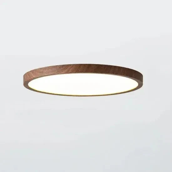 Isadora Modern LED Ceiling Lamp