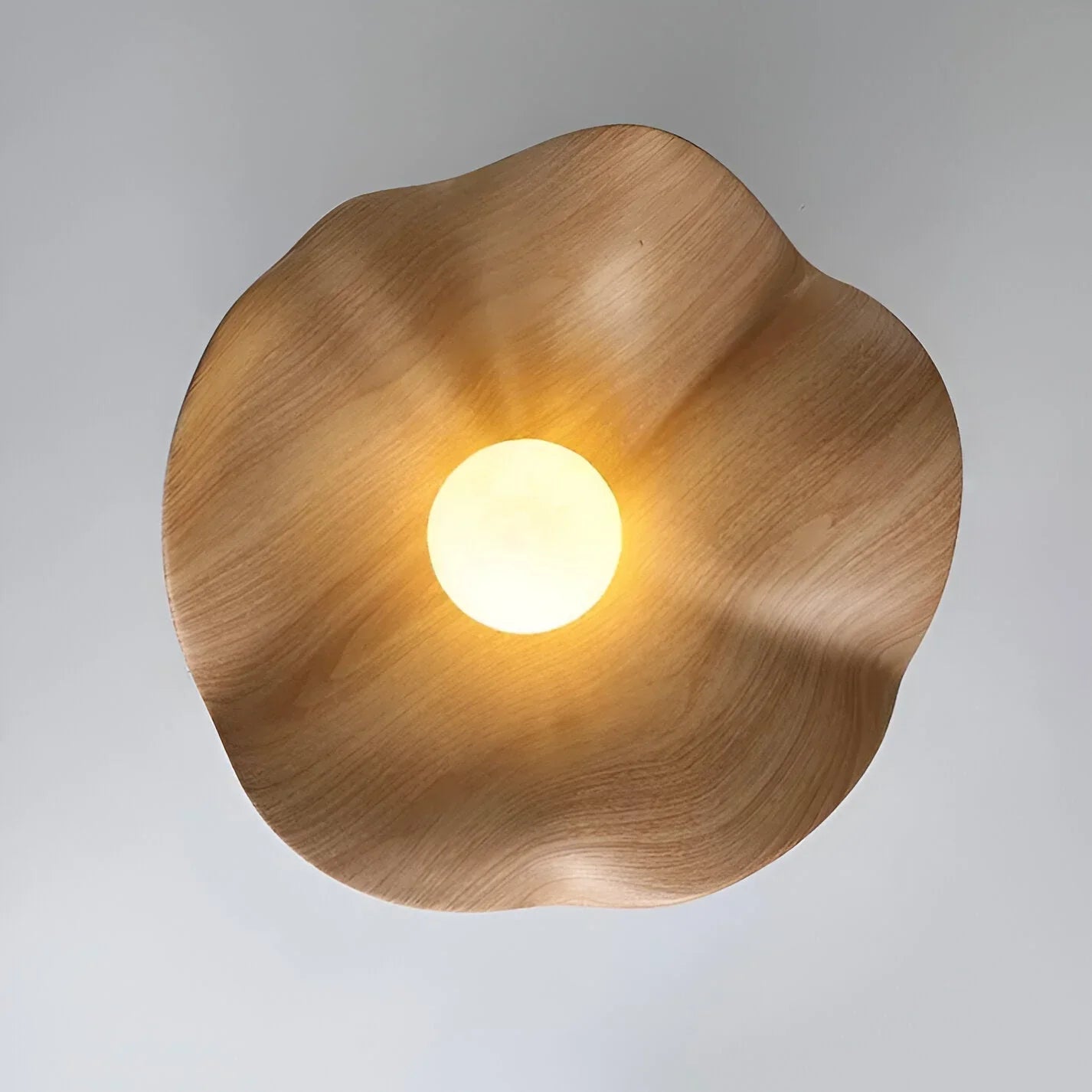 Caelene Nordic Flower Shape LED Ceiling Lamp