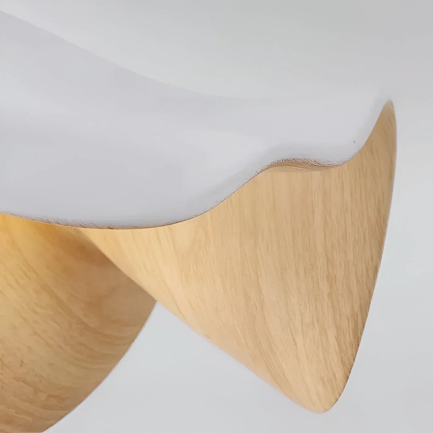 Caelene Nordic Flower Shape LED Ceiling Lamp