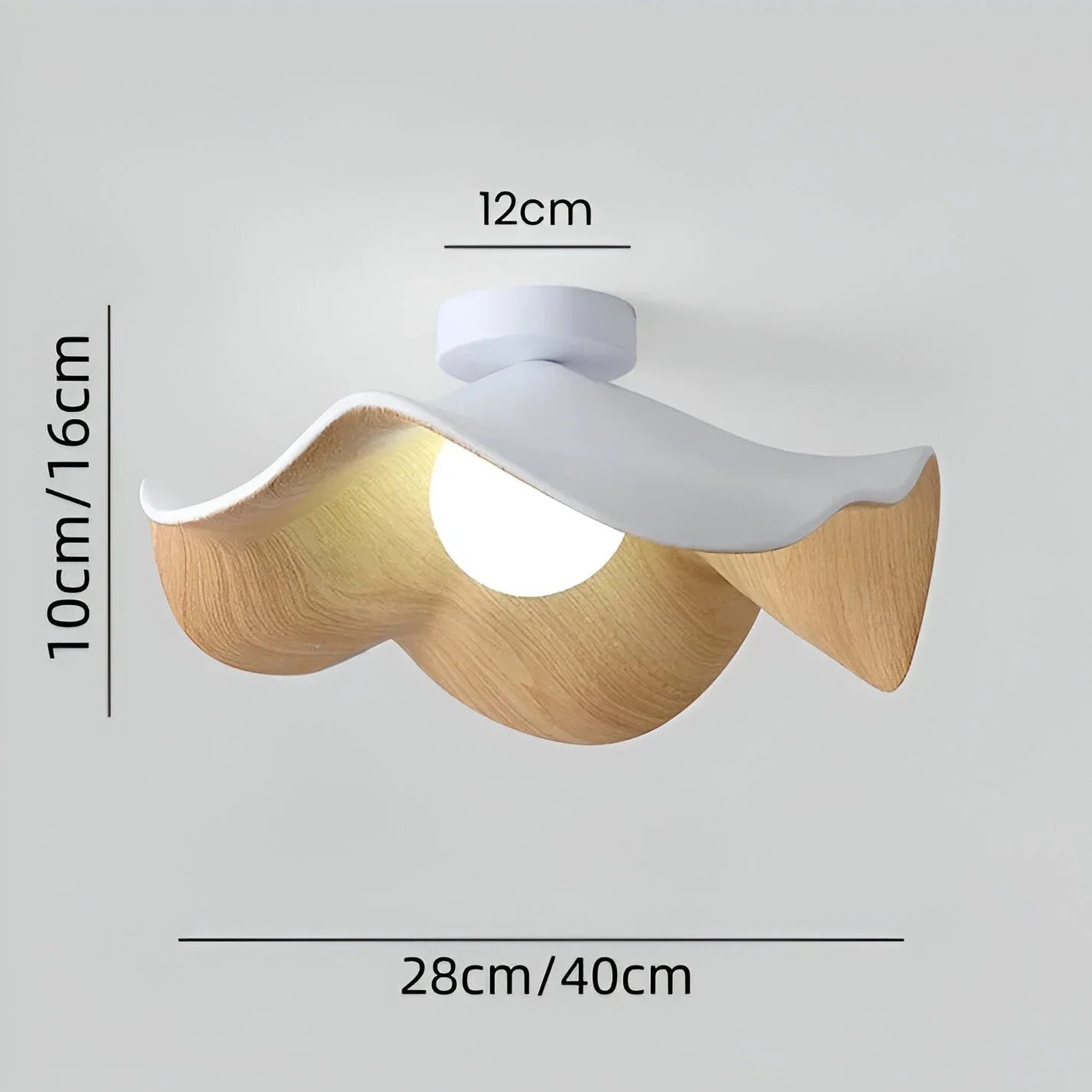 Caelene Nordic Flower Shape LED Ceiling Lamp