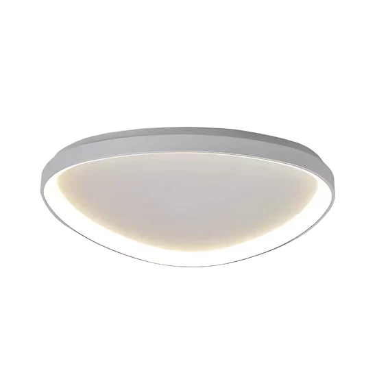 Cirevia Modern LED Ceiling Lamp