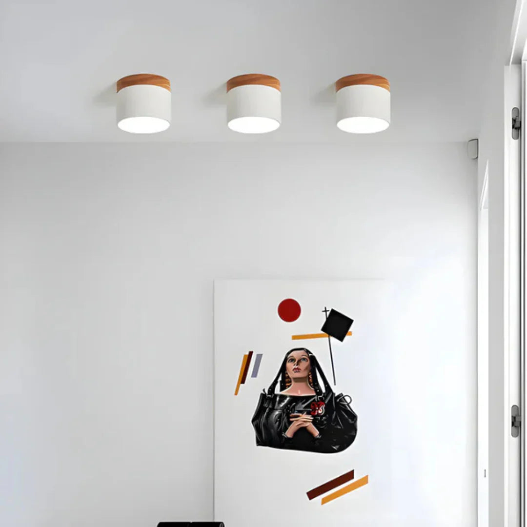 Vesta Vintage LED Ceiling Lamp