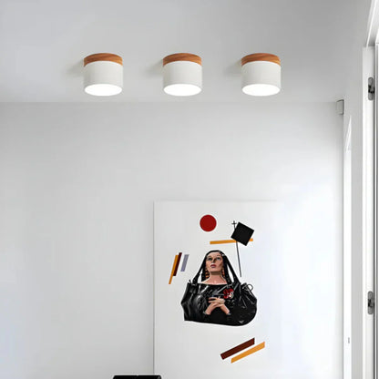 Vesta Vintage LED Ceiling Lamp