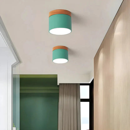 Vesta Vintage LED Ceiling Lamp