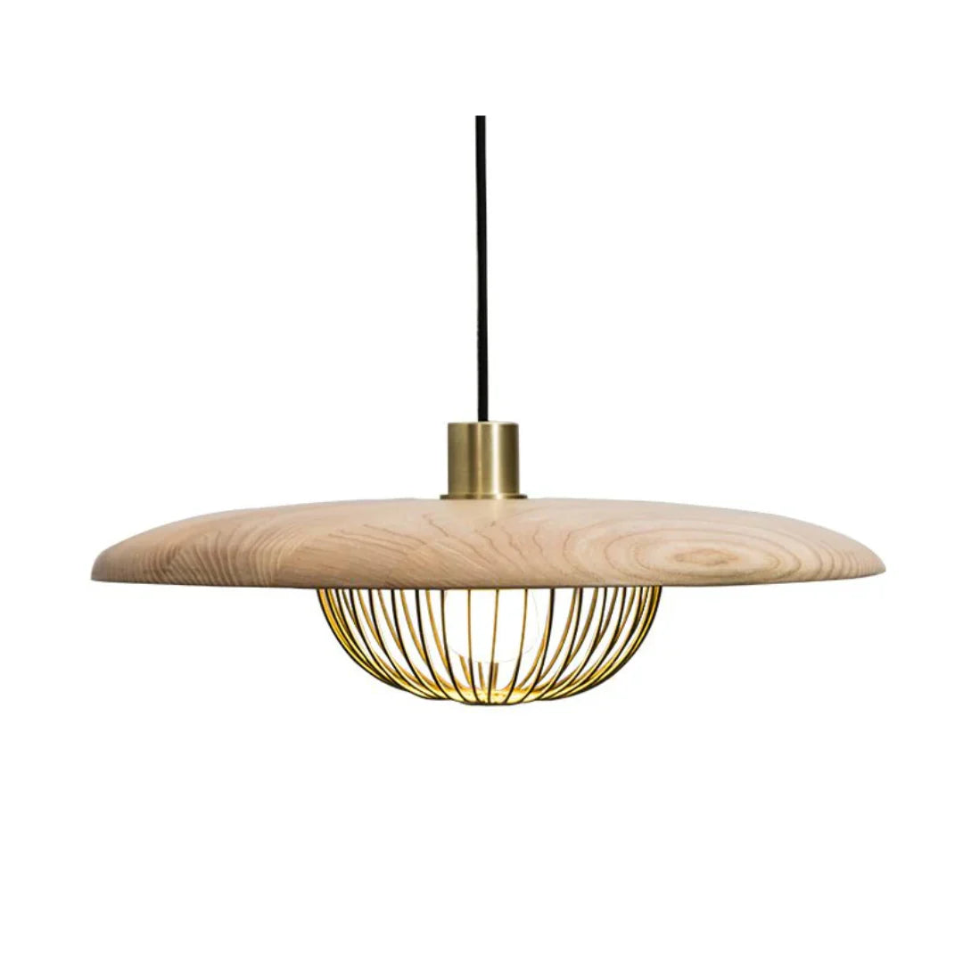 Nyli Minimalist Design Pendant Lamp