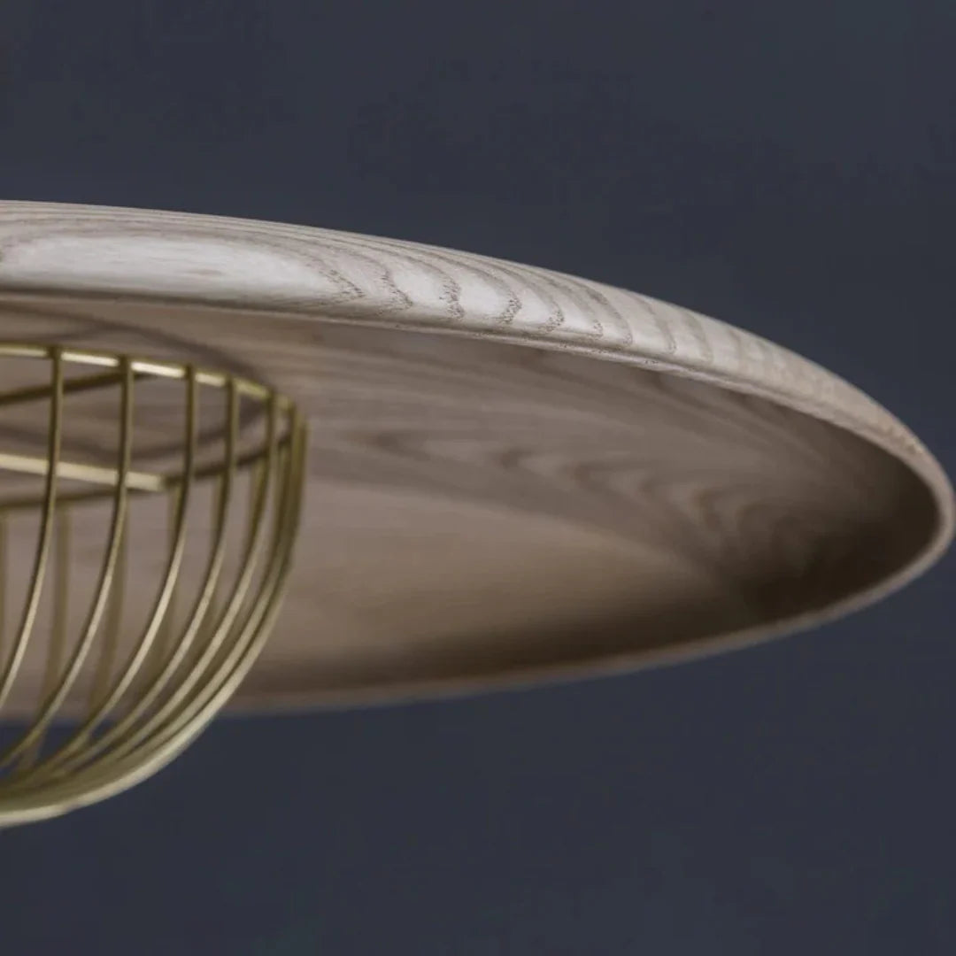 Nyli Minimalist Design Pendant Lamp