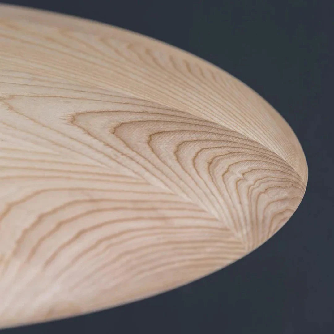 Nyli Minimalist Design Pendant Lamp