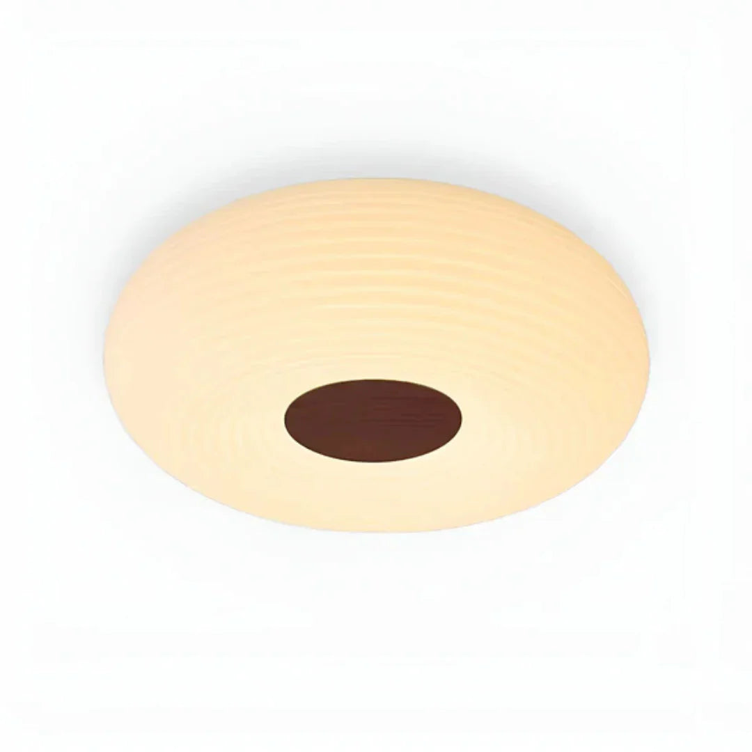 Tapion Modern LED Ceiling Lamp