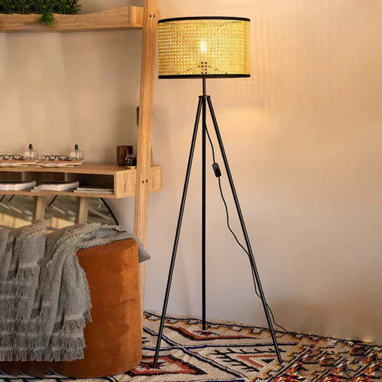 Demeter Floor Lamp for Living Room