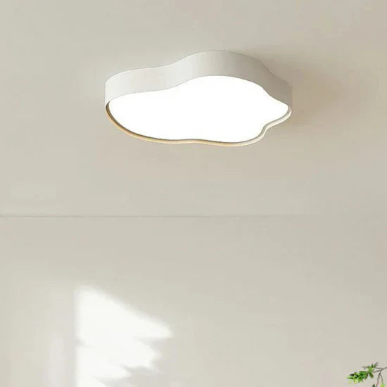 Pasiphae Stylish LED Ceiling Lamp