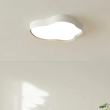 Pasiphae Stylish LED Ceiling Lamp