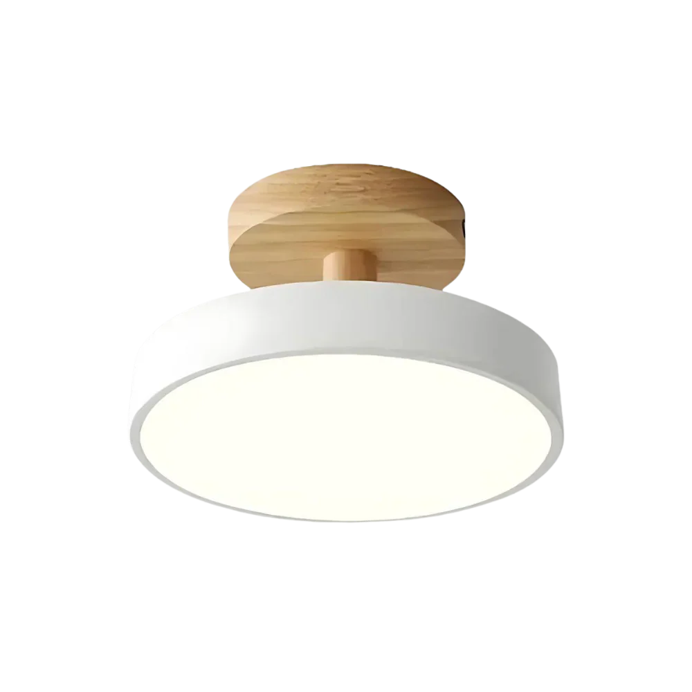 Soreia Compact Modern LED Ceiling Lamp