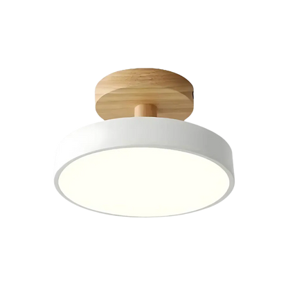 Soreia Compact Modern LED Ceiling Lamp