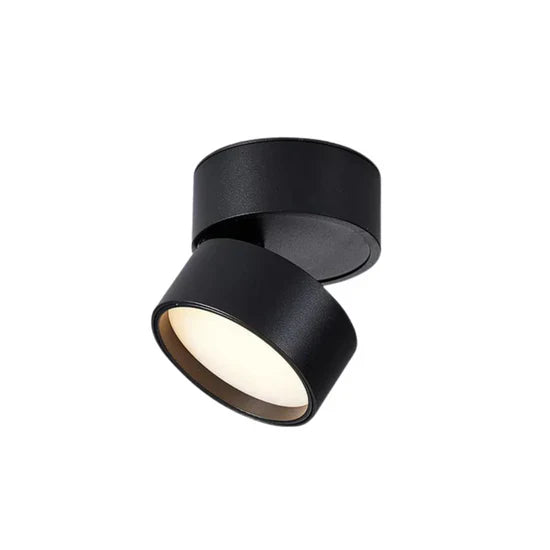 Somos Adjustable LED Ceiling Lamp
