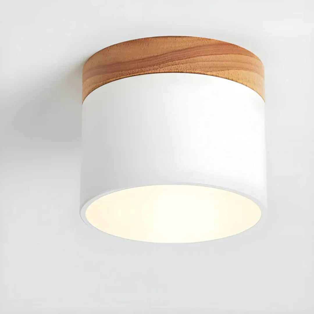 Vesta Vintage LED Ceiling Lamp