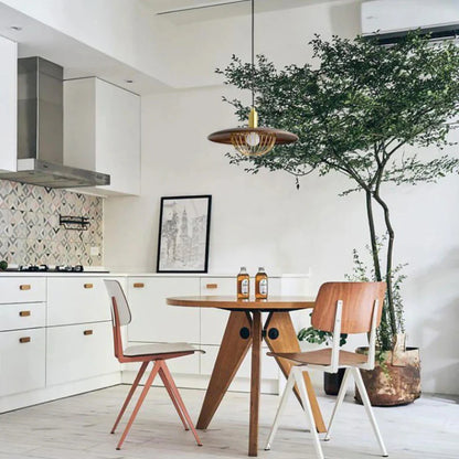 Nyli Minimalist Design Pendant Lamp