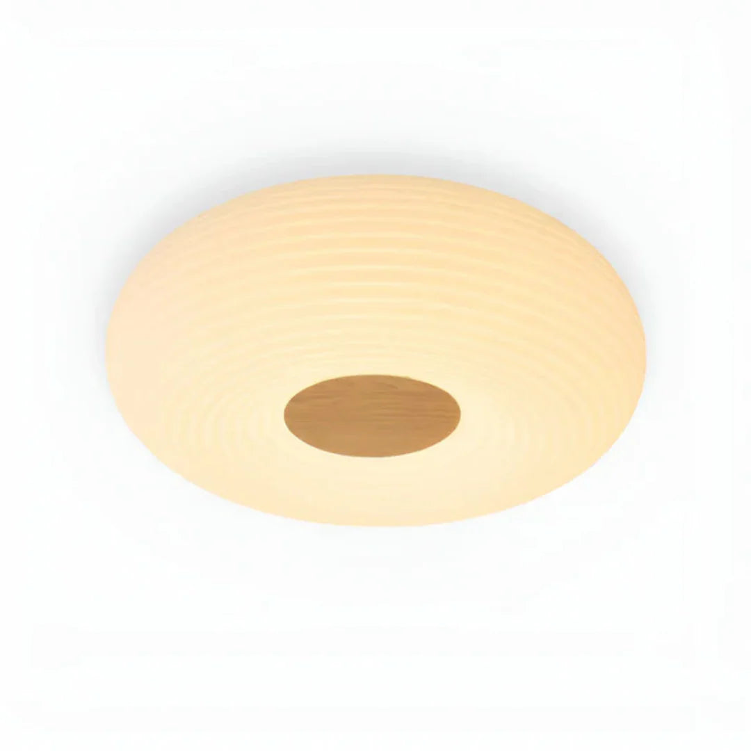 Tapion Modern LED Ceiling Lamp