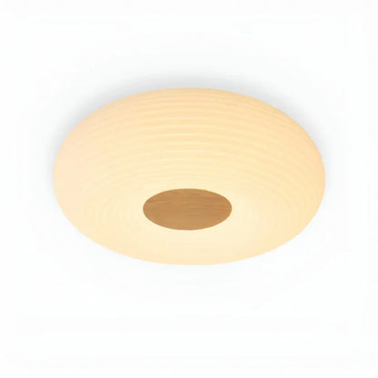 Tapion Modern LED Ceiling Lamp