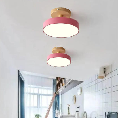 Soreia Compact Modern LED Ceiling Lamp