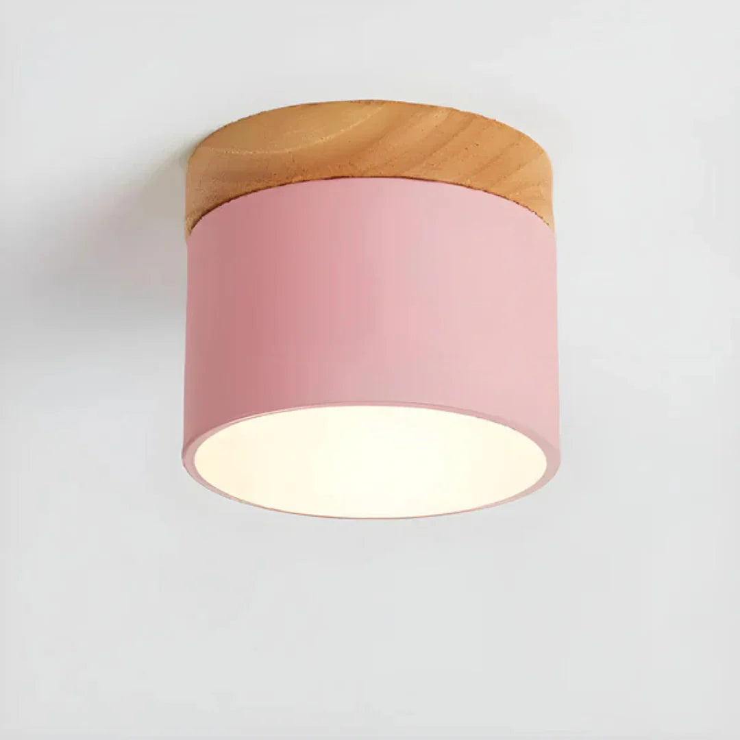 Vesta Vintage LED Ceiling Lamp