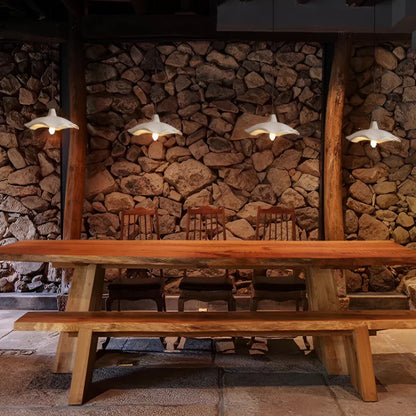 Calystria Wabi-Sabi Hanging Lamp