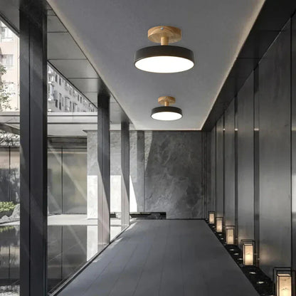 Soreia Compact Modern LED Ceiling Lamp