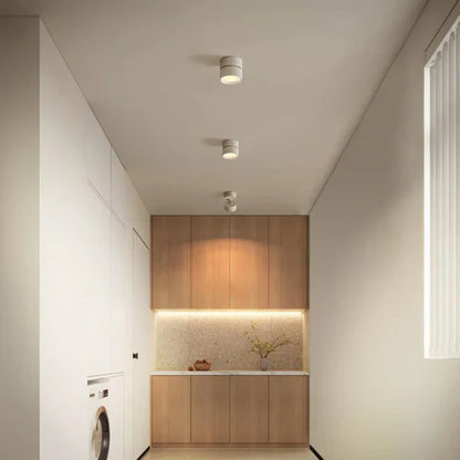 Somos Adjustable LED Ceiling Lamp