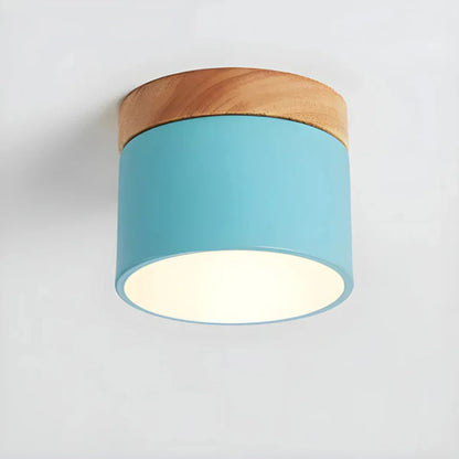 Vesta Vintage LED Ceiling Lamp