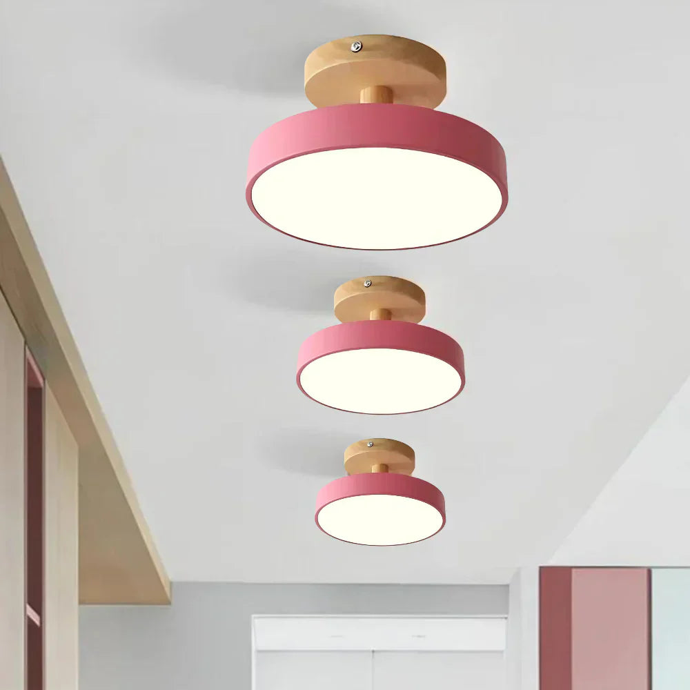 Soreia Compact Modern LED Ceiling Lamp