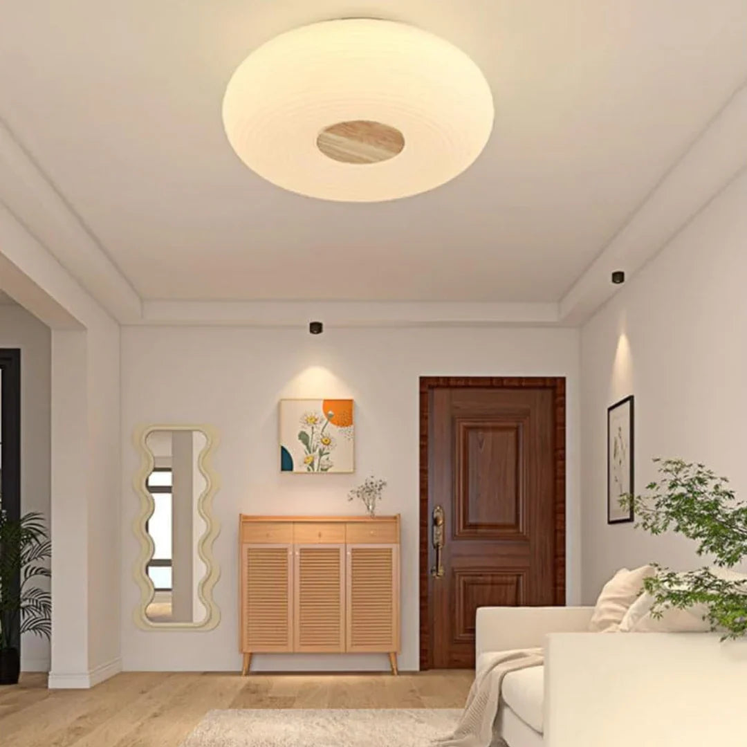 Tapion Modern LED Ceiling Lamp