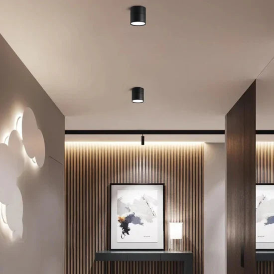 Somos Adjustable LED Ceiling Lamp