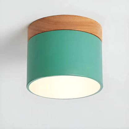 Vesta Vintage LED Ceiling Lamp