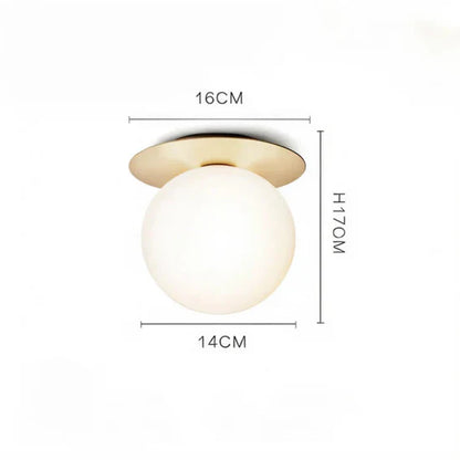 Poli Luxury LED Ceiling | Wall Lamp
