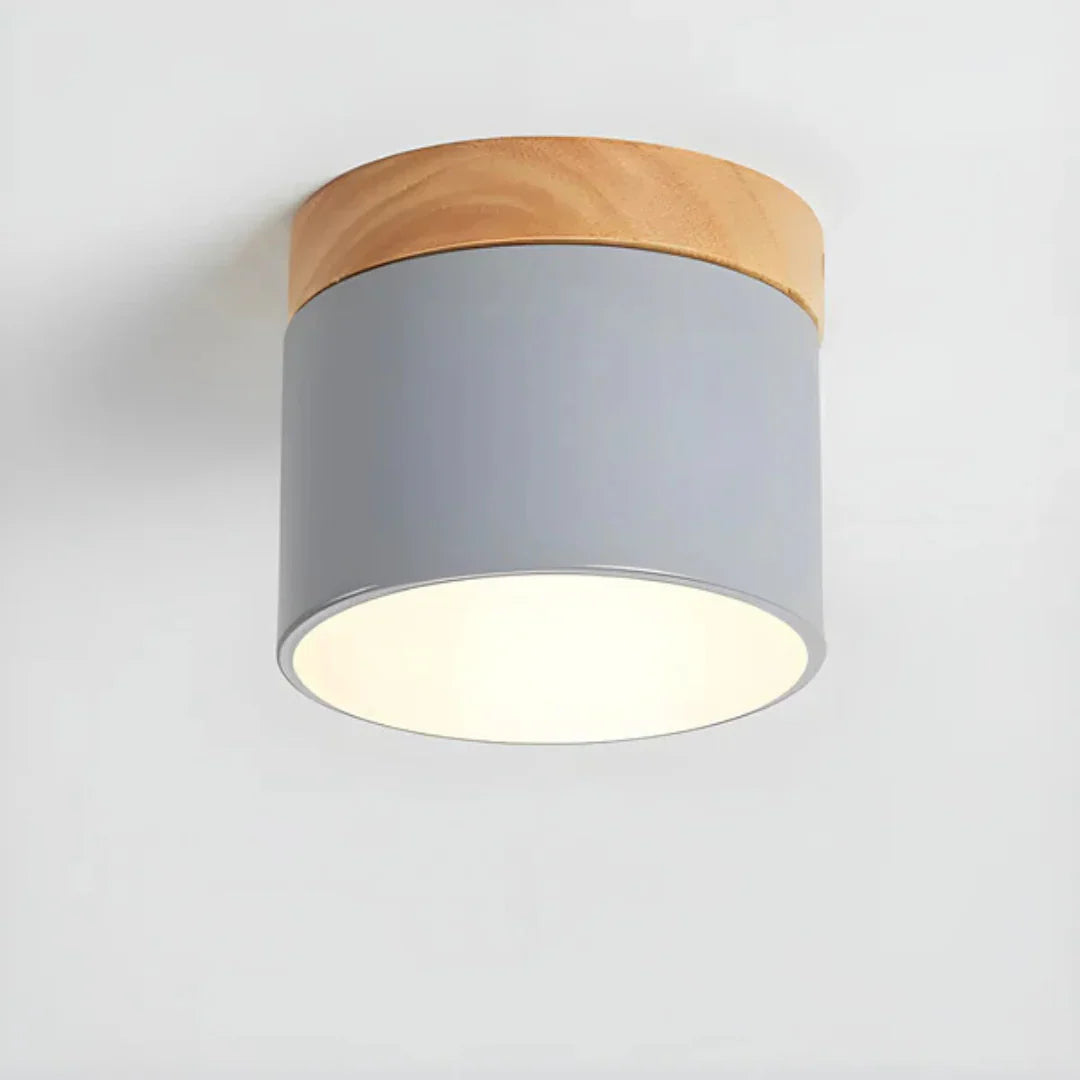Vesta Vintage LED Ceiling Lamp