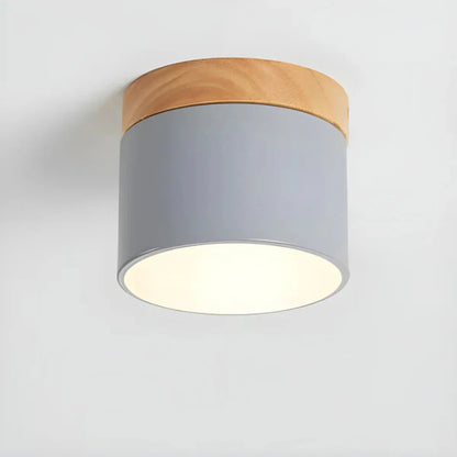 Vesta Vintage LED Ceiling Lamp