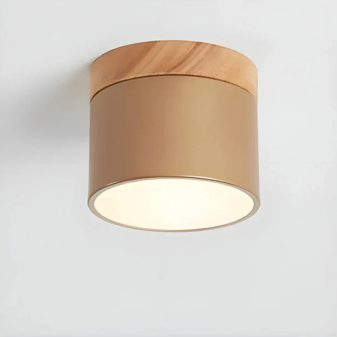Vesta Vintage LED Ceiling Lamp