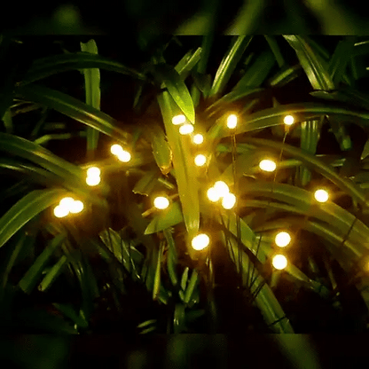 Solar Firefly Lights (Pack of 2)