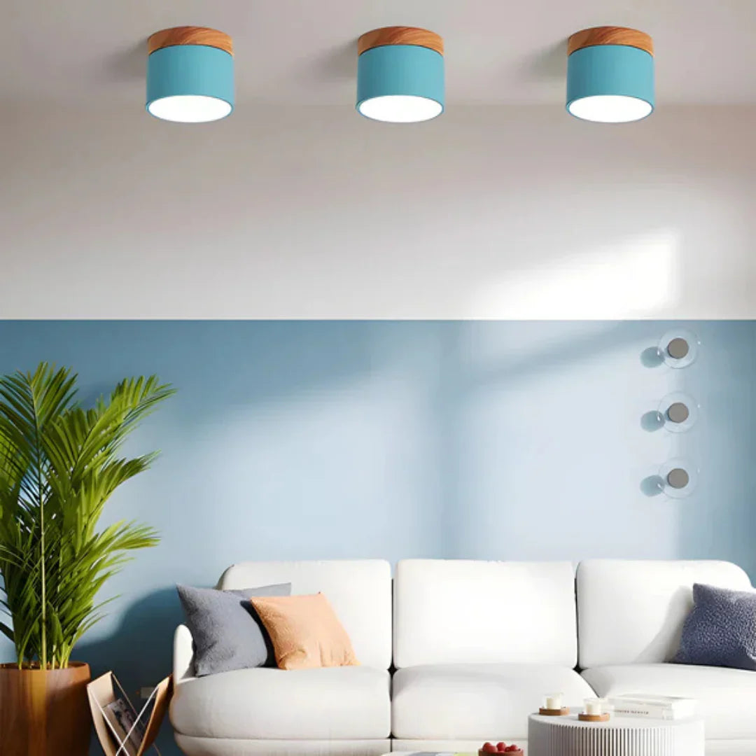 Vesta Vintage LED Ceiling Lamp