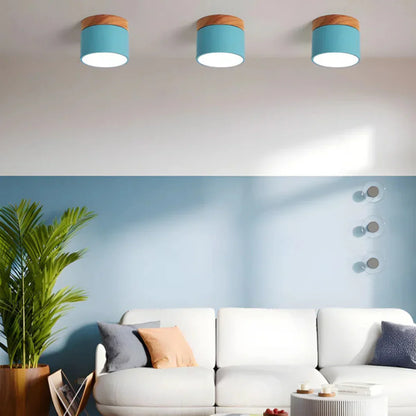 Vesta Vintage LED Ceiling Lamp