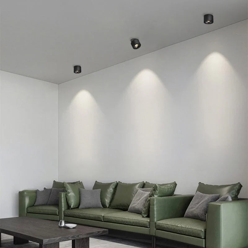 Alira Adjustable Cylinder Recessed LED Ceiling Lamp