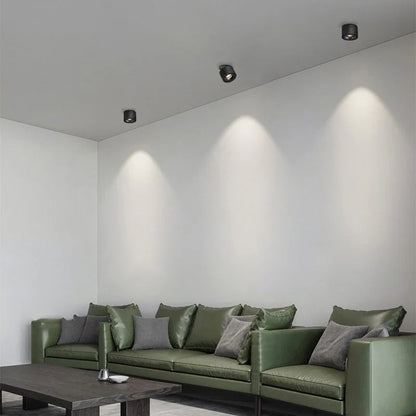 Alira Adjustable Cylinder Recessed LED Ceiling Lamp
