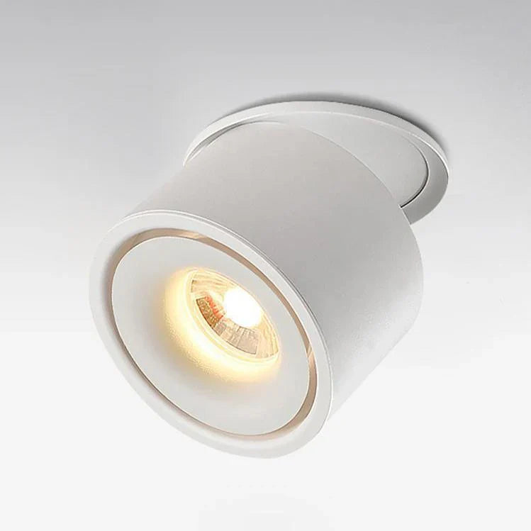 Alira Adjustable Cylinder Recessed LED Ceiling Lamp