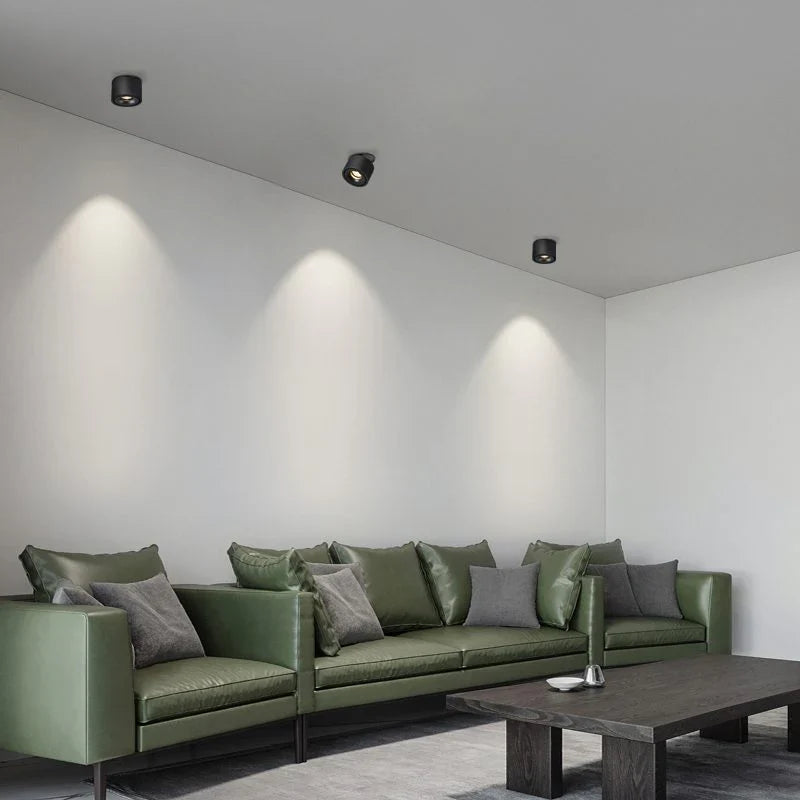 Alira Adjustable Cylinder Recessed LED Ceiling Lamp