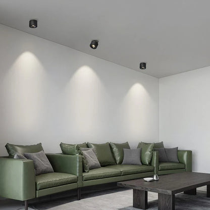 Alira Adjustable Cylinder Recessed LED Ceiling Lamp