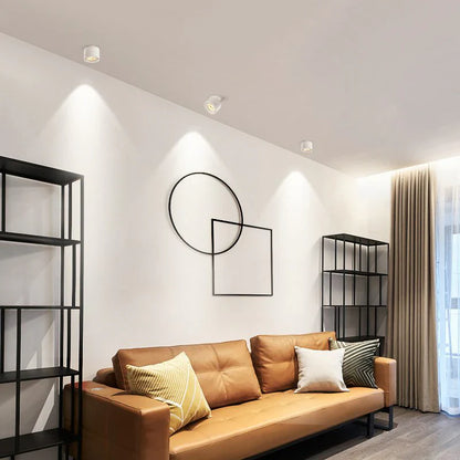 Alira Adjustable Cylinder Recessed LED Ceiling Lamp